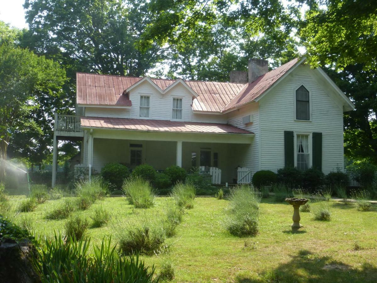 Lavender Farm And Bed and breakfast Mulberry