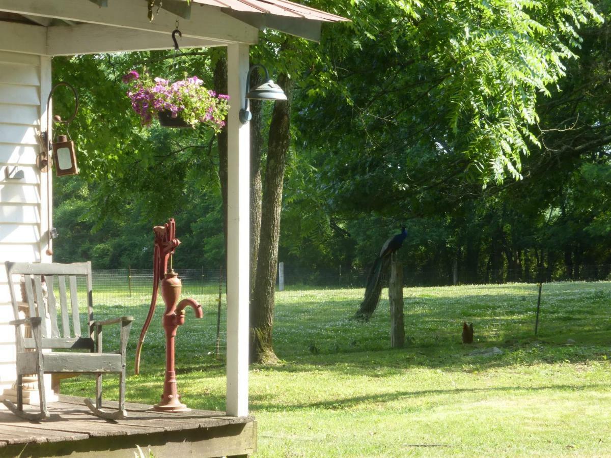 Lavender Farm And Couette-café
