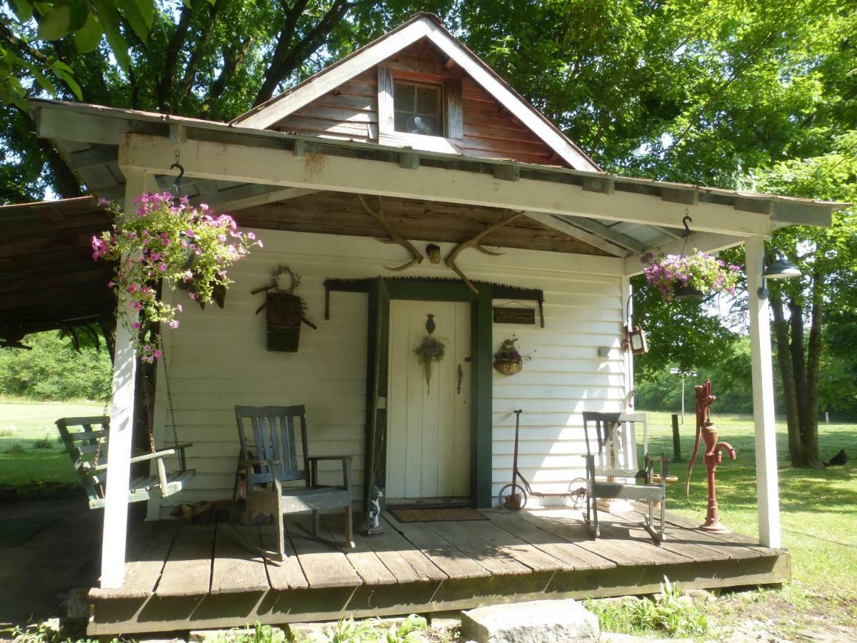 Lavender Farm And Mulberry