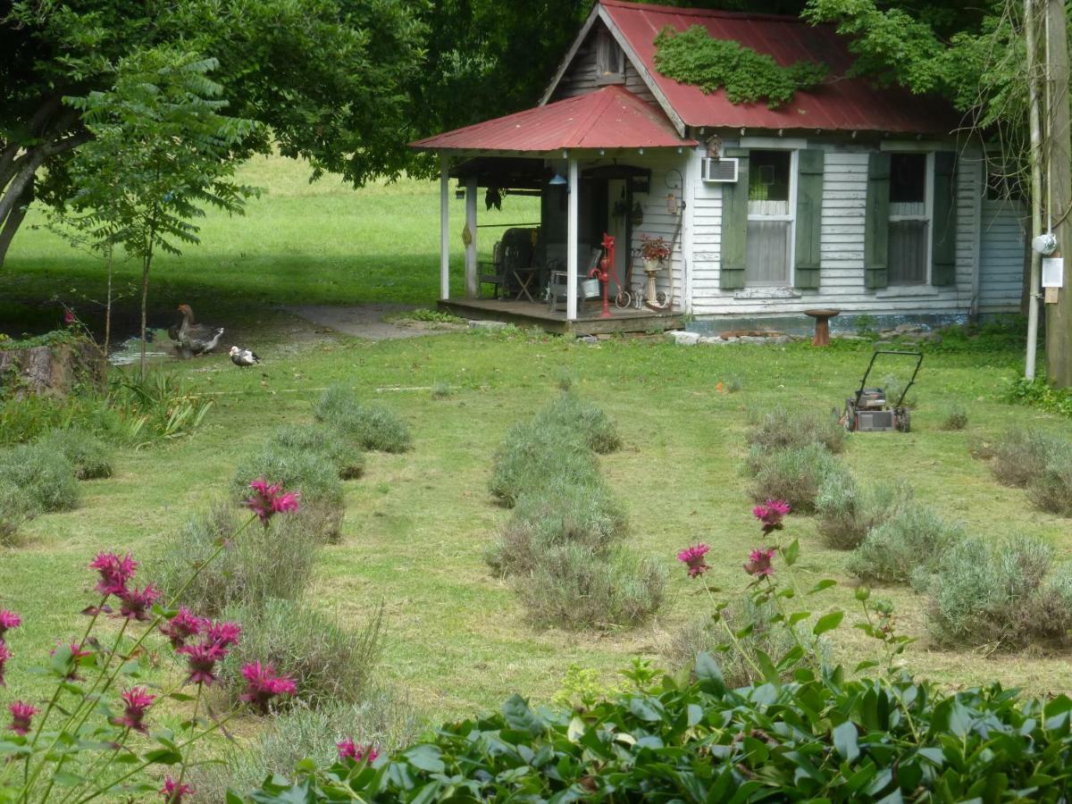 Lavender Farm And 3*